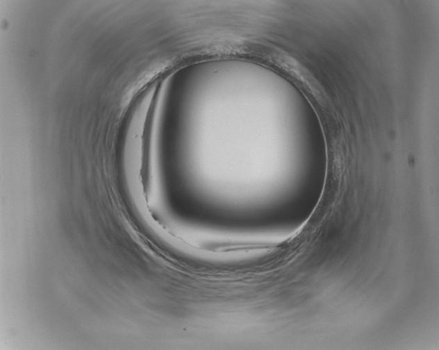 X0000070870677200607150122