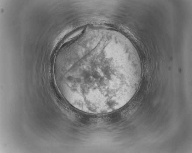 X0000070870679200607150122