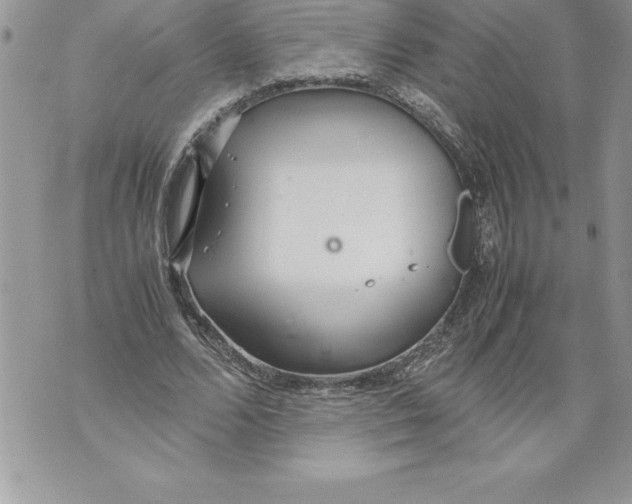 X0000070870680200607150122