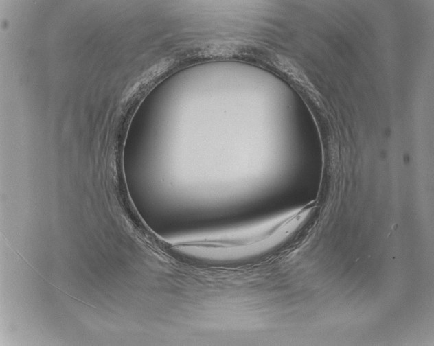 X0000070870681200607150122