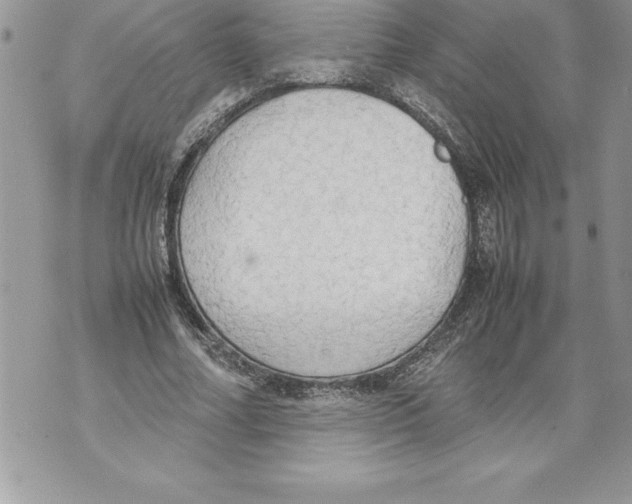 X0000070870682200607150122