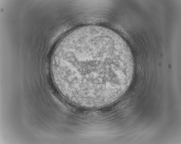 X0000070870683200607150122