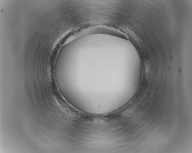 X0000070870684200607150122