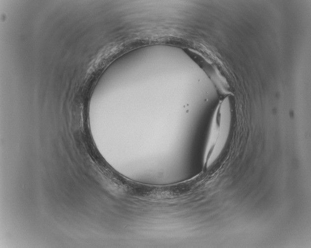 X0000070870685200607150122