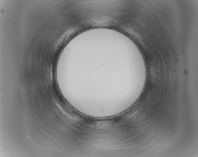 X0000070870686200607150122