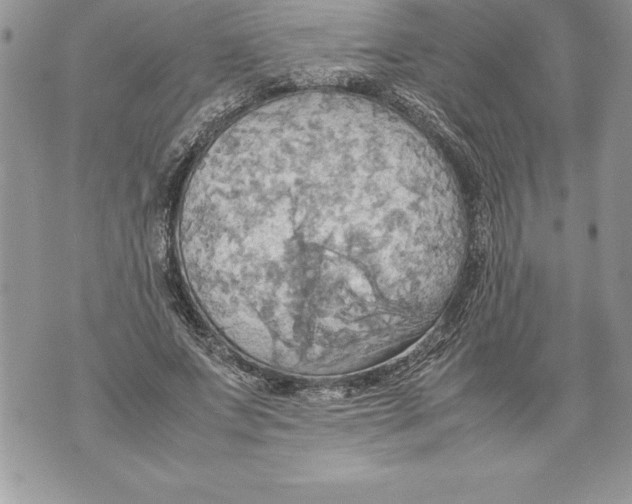 X0000070870687200607150122