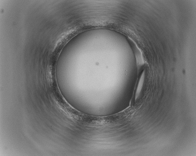 X0000070870688200607150122