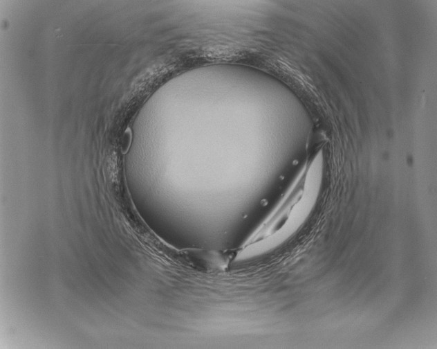 X0000070870689200607150122