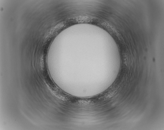 X0000070870690200607150122