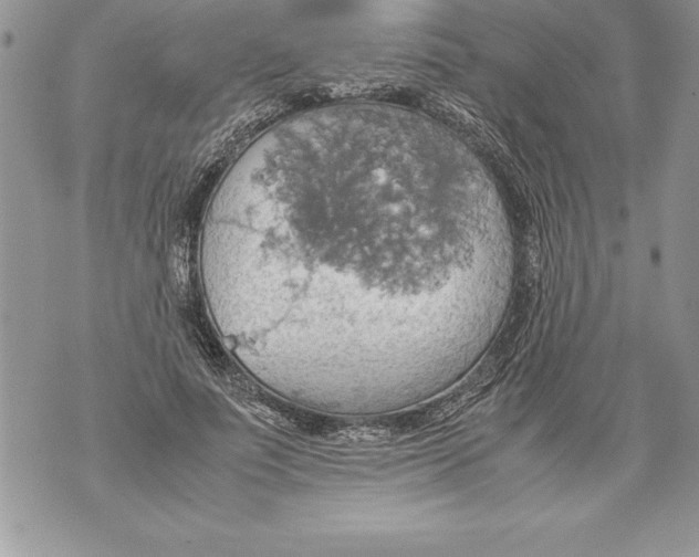 X0000070870691200607150121