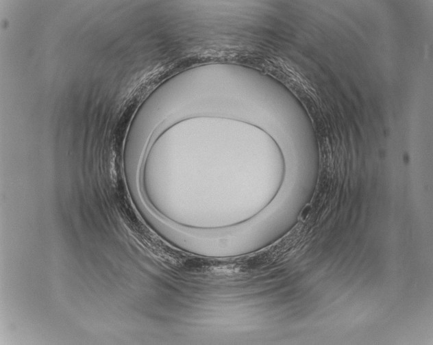 X0000070870692200607150121