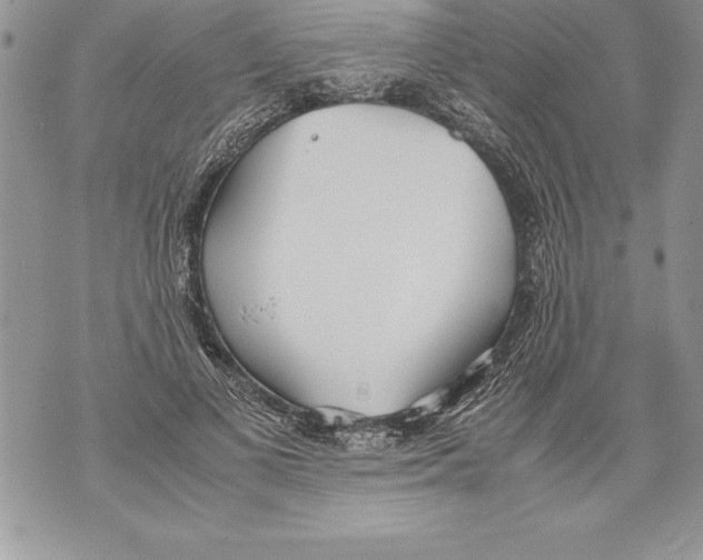 X0000070870693200607150121