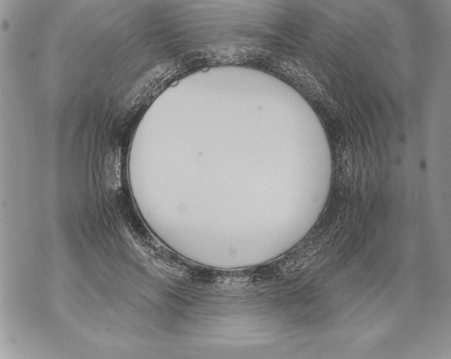 X0000070870694200607150121