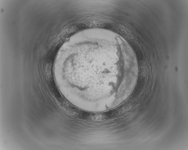 X0000070870695200607150121