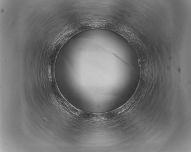 X0000070870696200607150121