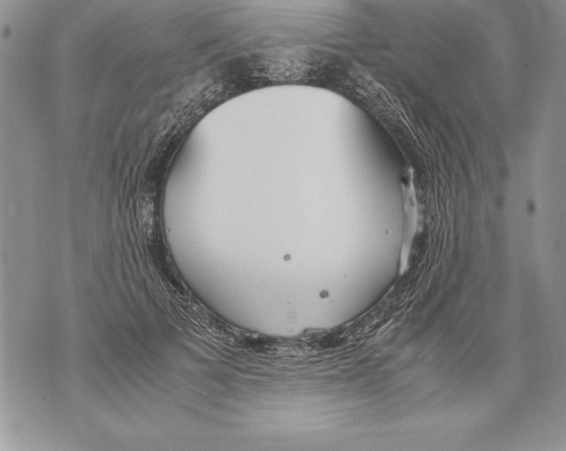 X0000070870697200607150121