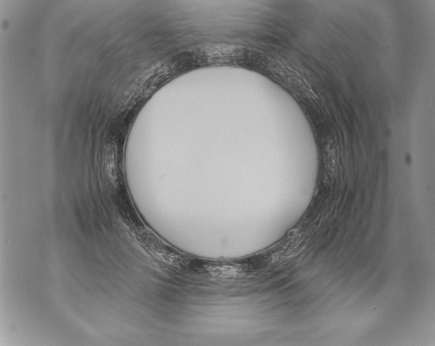 X0000070870698200607150121