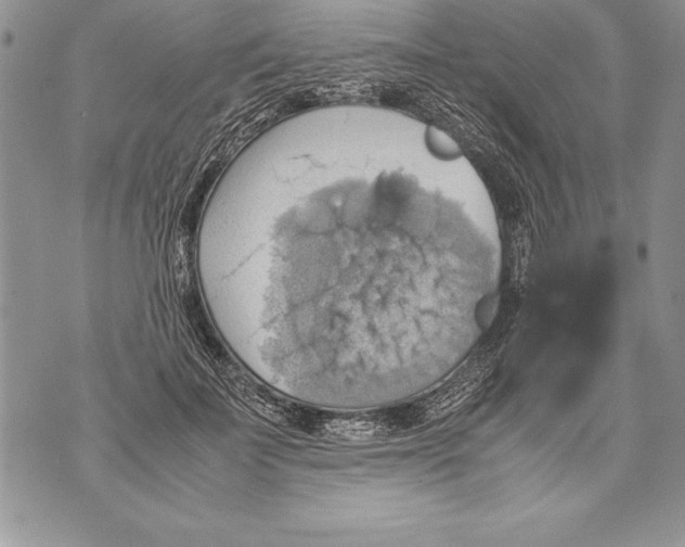 X0000070870699200607150121