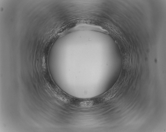 X0000070870700200607150121