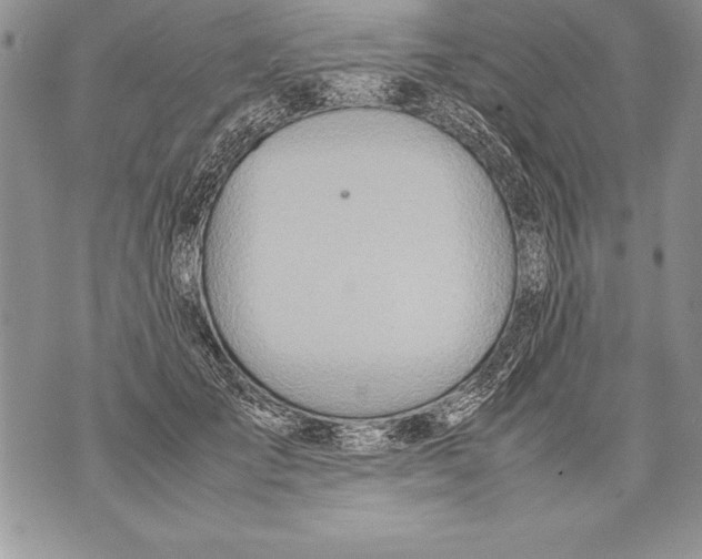 X0000070870701200607150121