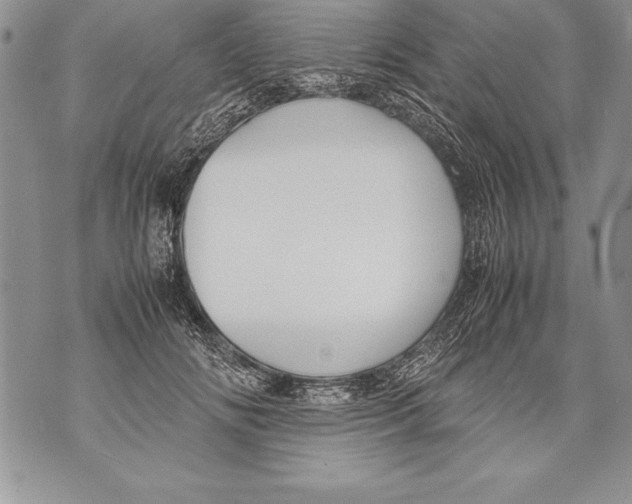 X0000070870702200607150121