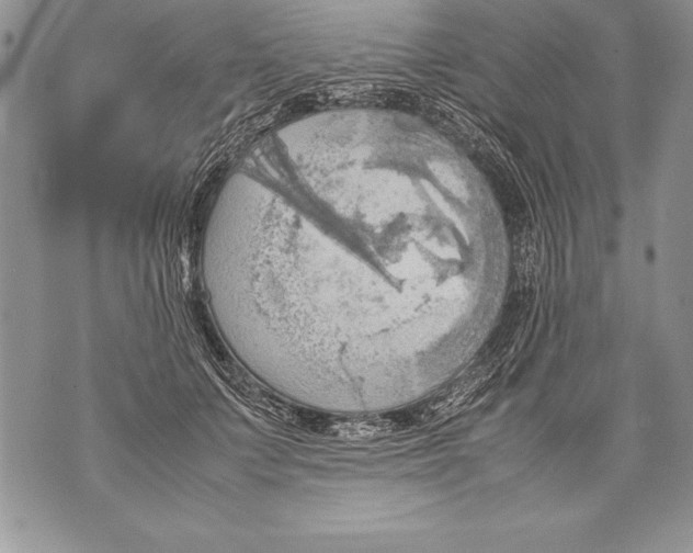 X0000070870703200607150121