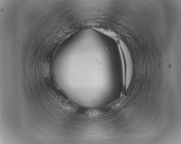 X0000070870704200607150121