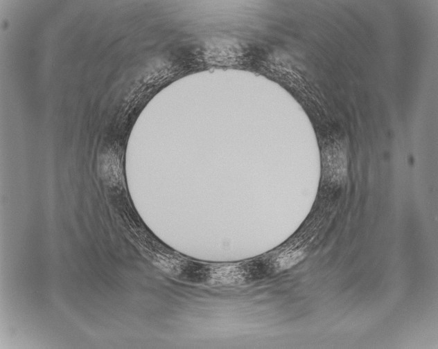 X0000070870705200607150121