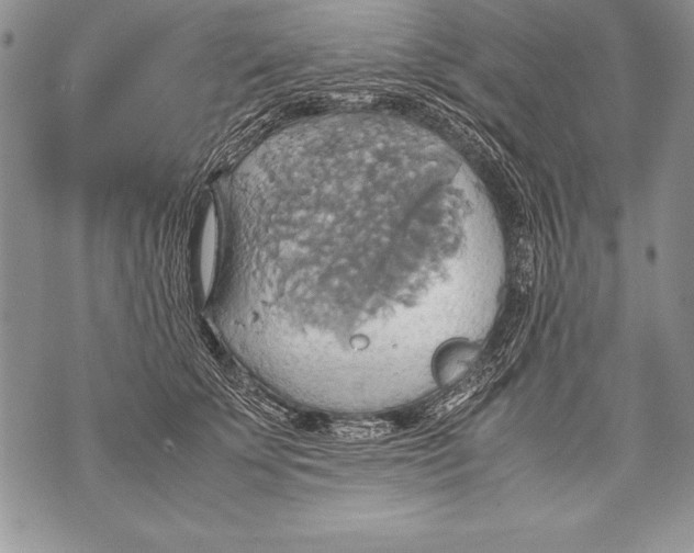 X0000070870707200607150121