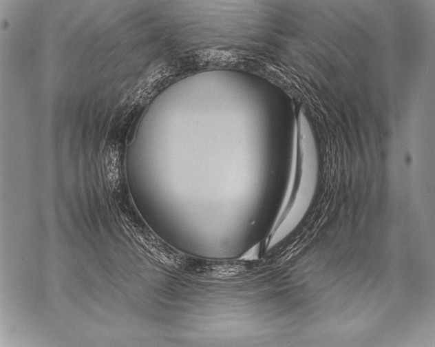 X0000070870708200607150121