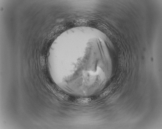 X0000070870711200607150121