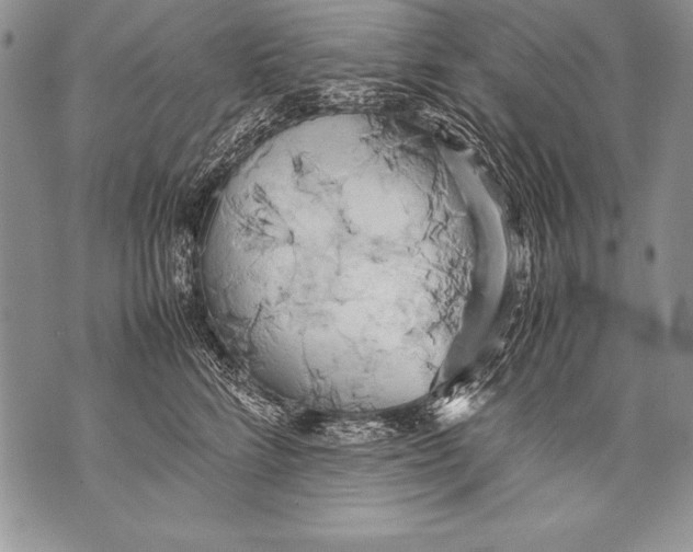 X0000070870712200607150121