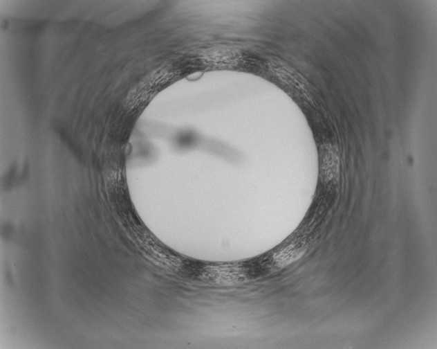 X0000070870713200607150121