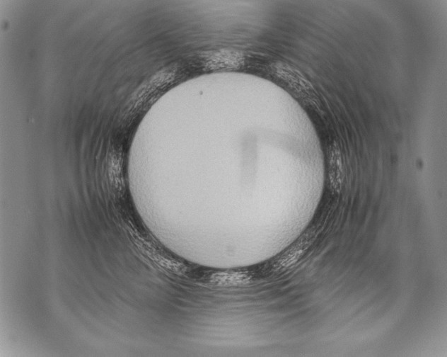 X0000070870714200607150121