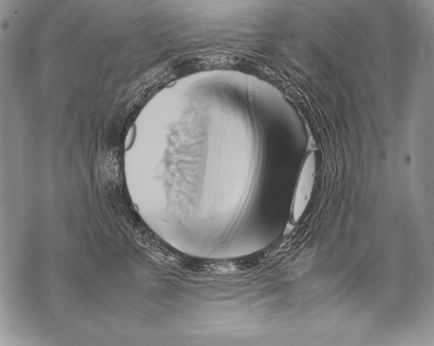 X0000070870715200607150121