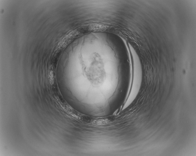 X0000070870716200607150121