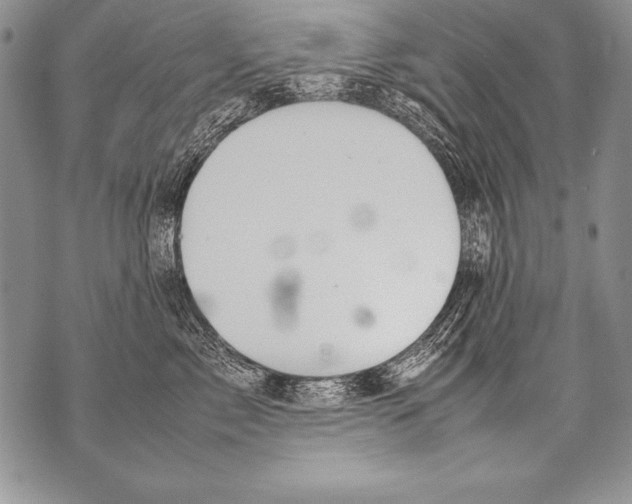 X0000070870717200607150121