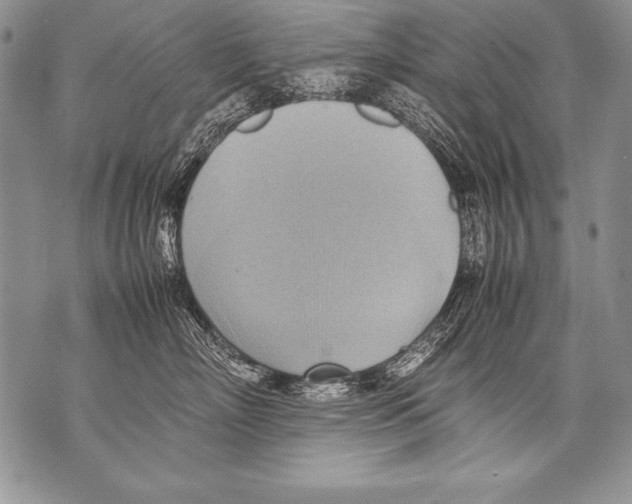 X0000070870718200607150121