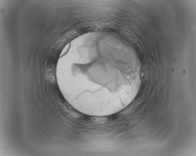 X0000070870719200607150121