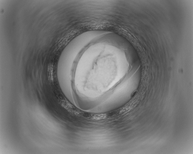 X0000070870720200607150121