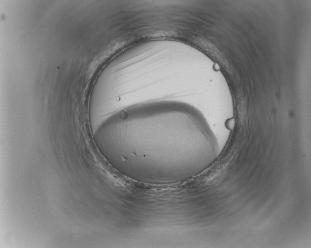 X0000070870721200607150120