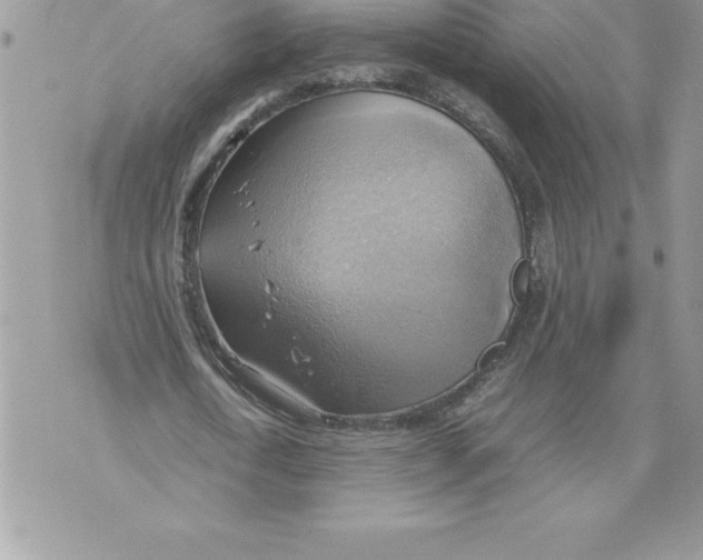 X0000070870722200607150120