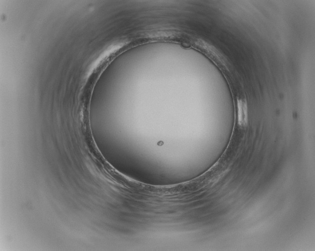 X0000070870723200607150120