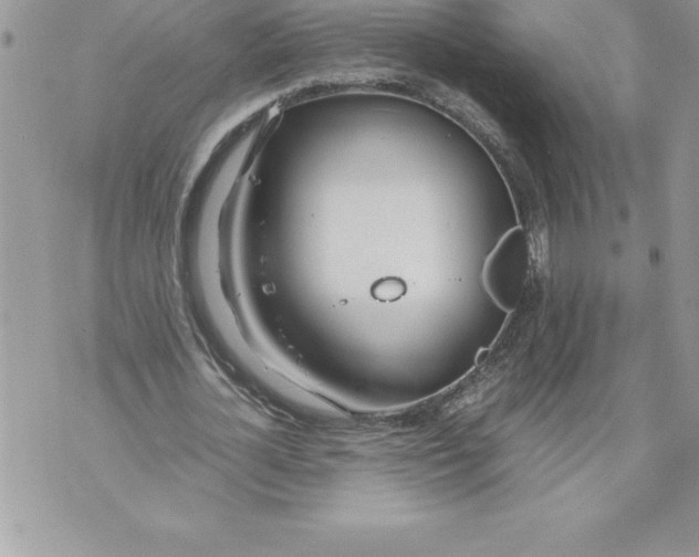 X0000070870724200607150120