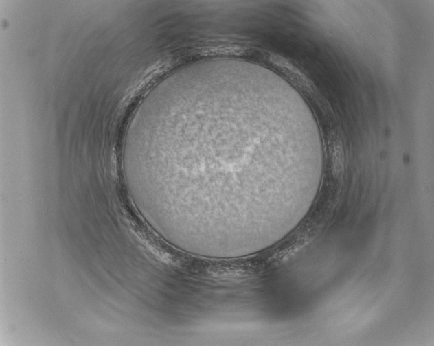 X0000070870729200607150120