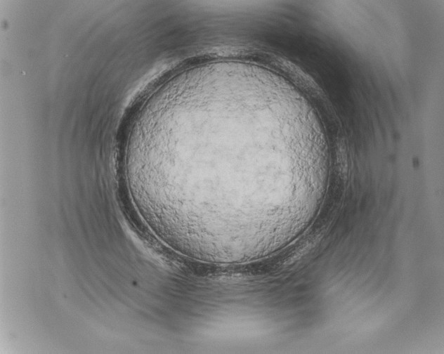 X0000070870730200607150120