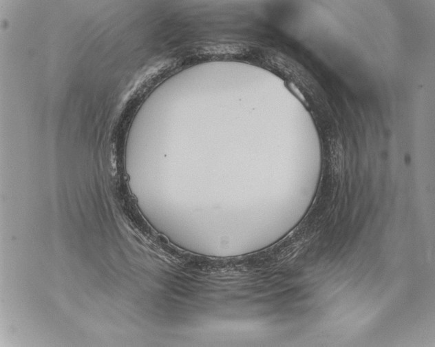 X0000070870731200607150120