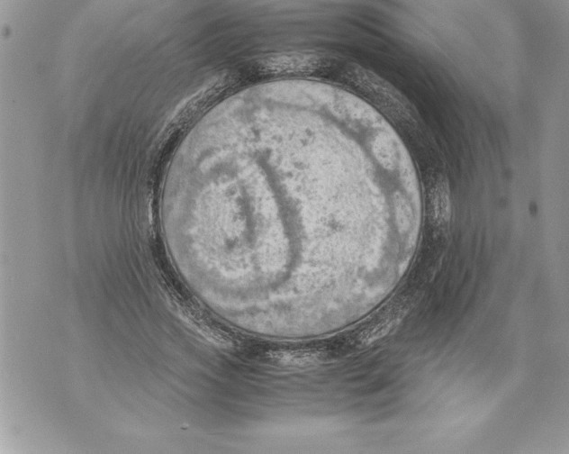 X0000070870733200607150120