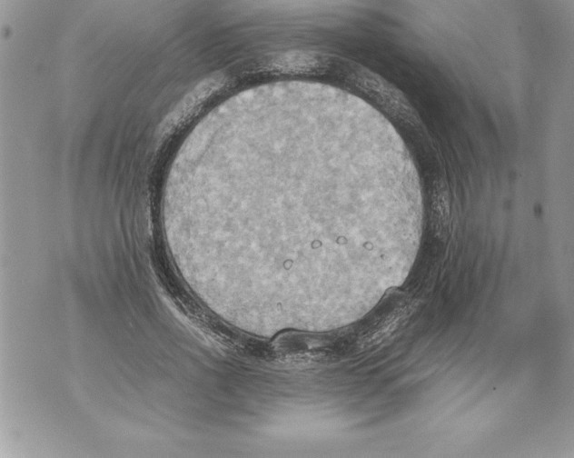 X0000070870734200607150120