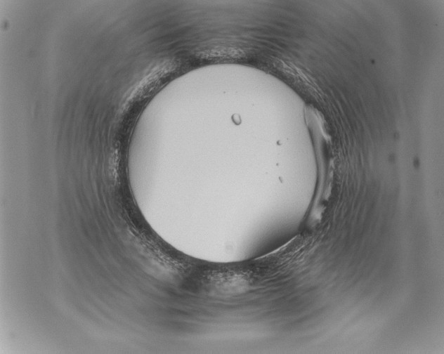 X0000070870735200607150120